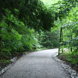 Meet your Posher, Leona